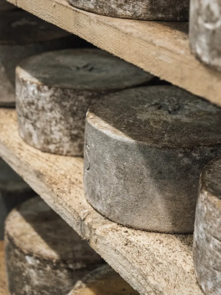 galerie-fromagerie-3