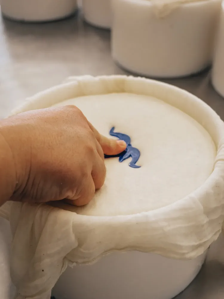 galerie-fromagerie-5