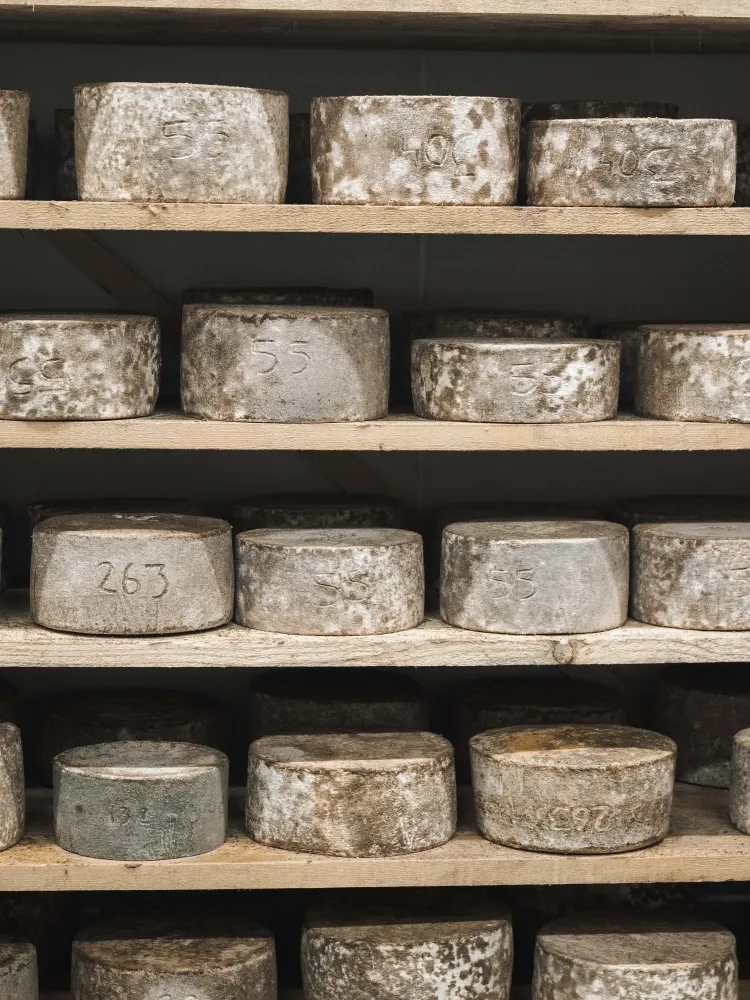 galerie-fromagerie-13