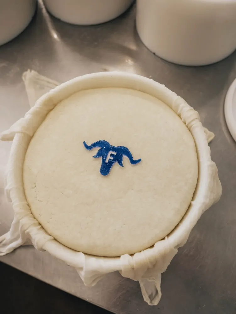 galerie-fromagerie-14