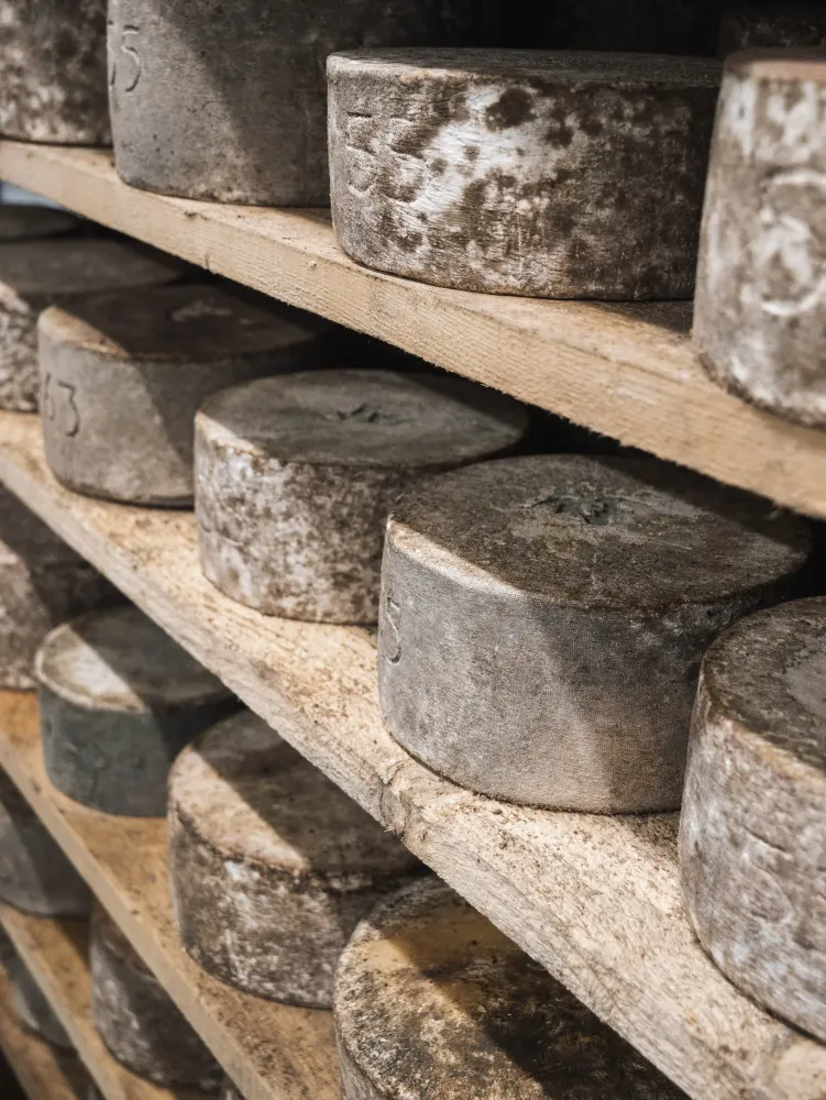 galerie-fromagerie-16