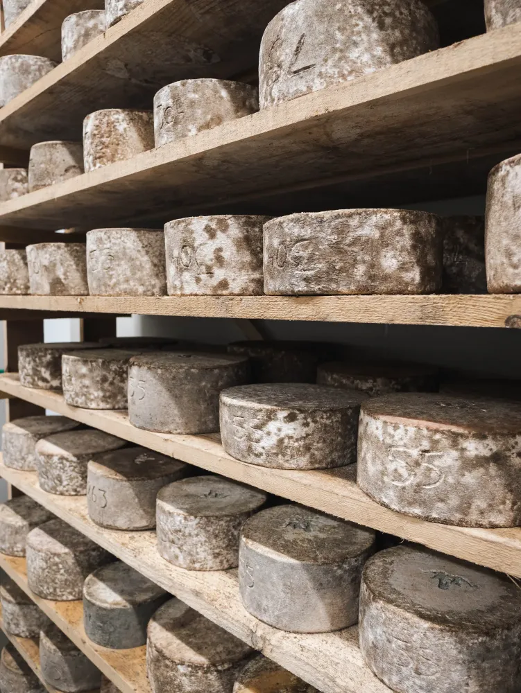 galerie-fromagerie-17