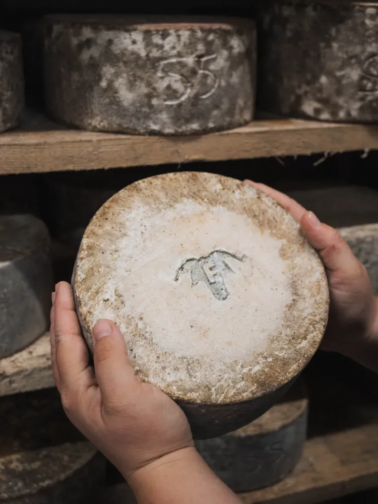 galerie-fromagerie-23