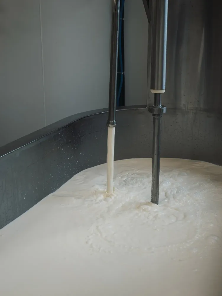 galerie-fromagerie-24